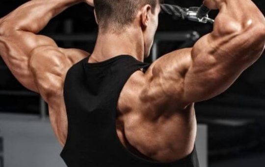 face pulls using rope cable attachment